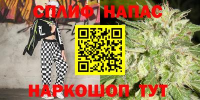 индика Кулебаки