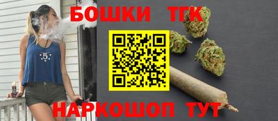 индика Кулебаки