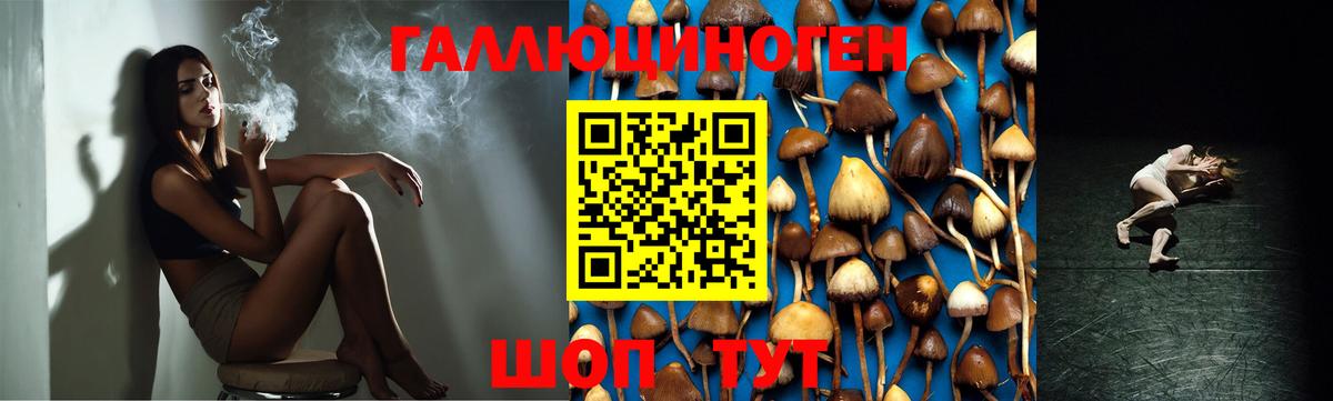 Псилоцибиновые грибы мицелий Невинномысск